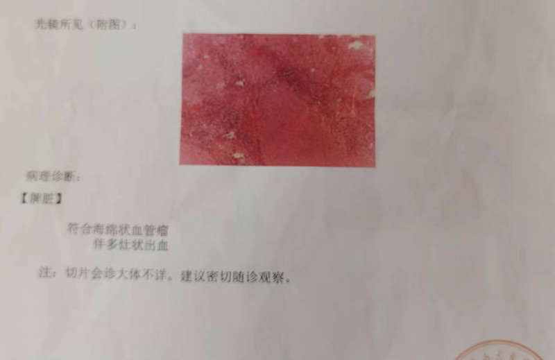 图片7_副本.jpg